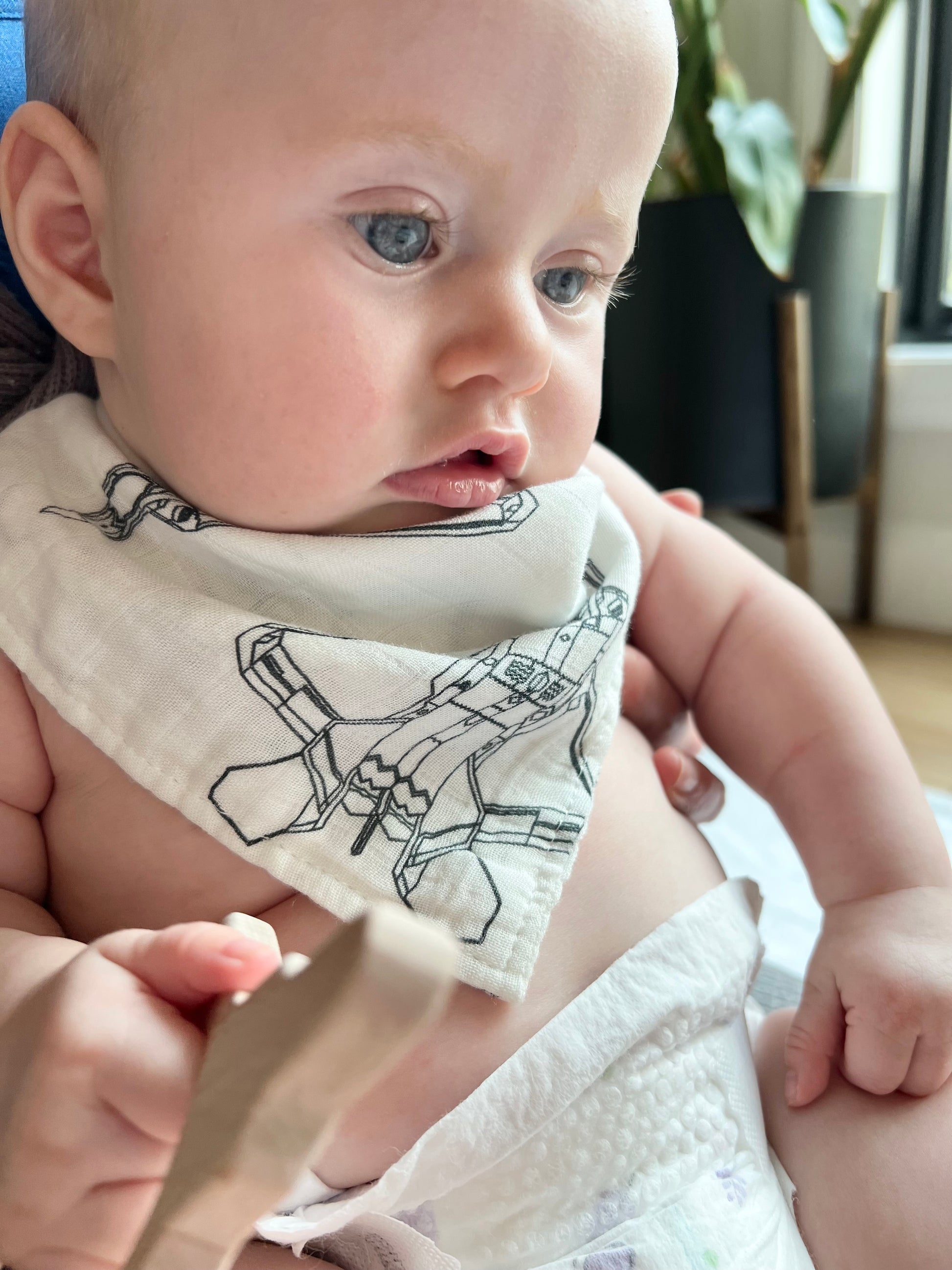 Blueprint Fighter Jet Bandana/Drool Bib