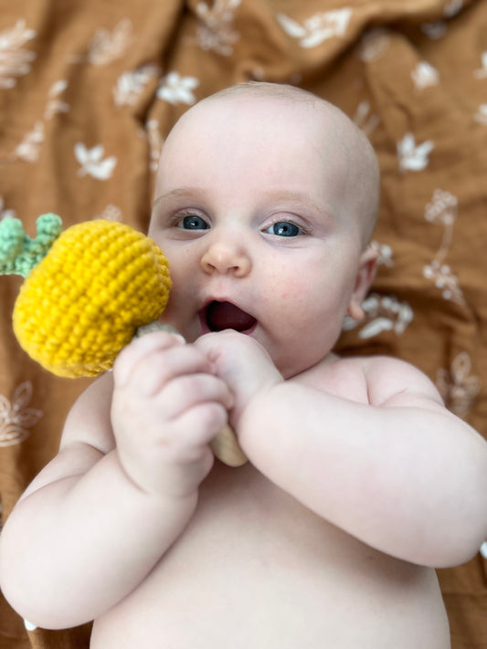 Handmade Crocheted Pumpkin Rattle